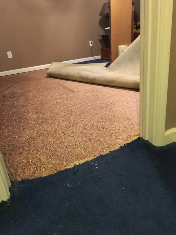Carpet pad removal revealing water damage during Drying & Dehumidification in Centennial
