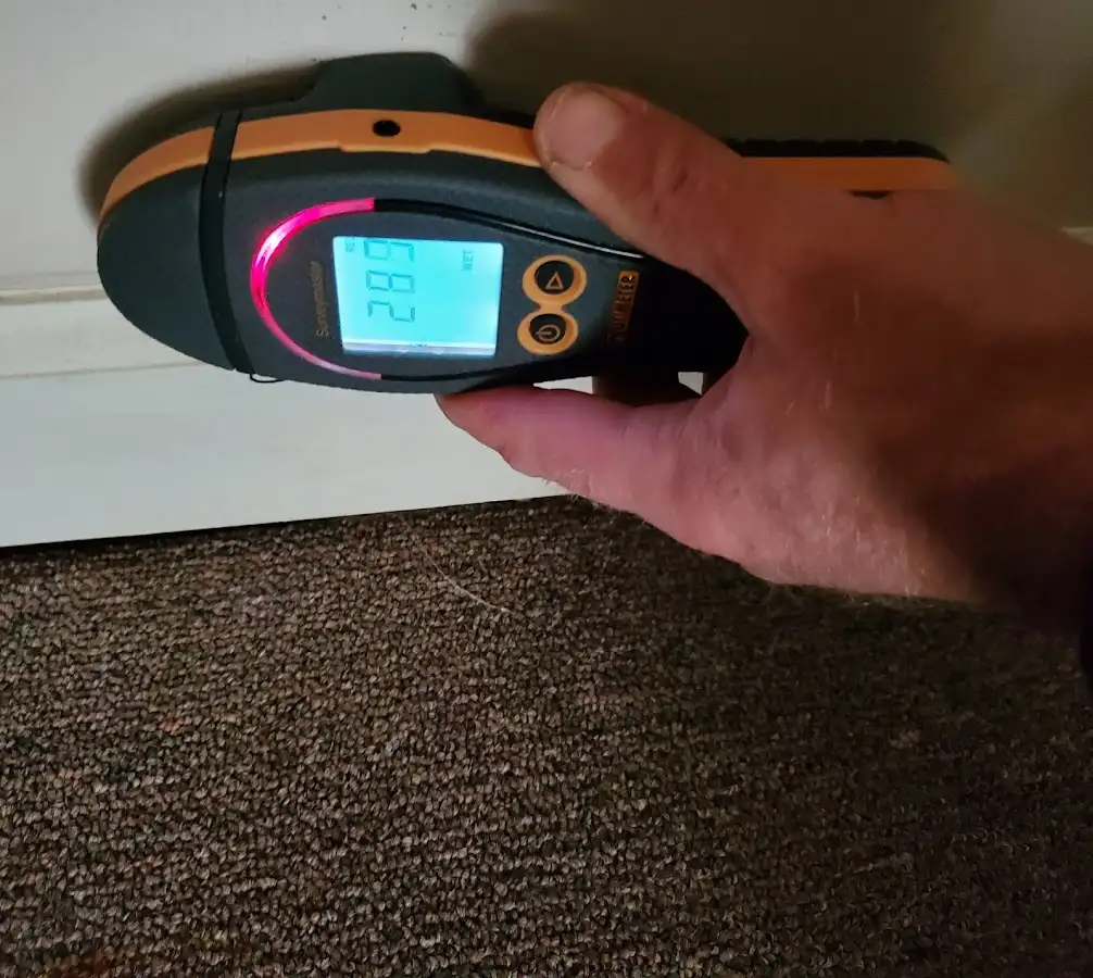 Moisture detection at baseboard during Mold Inspection & Testing in Centennial